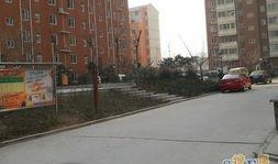 郑州花园路最新爆料事件,惊现神秘事件引发热议