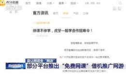 网课爆料新闻,揭秘在线教育行业背后的真相