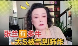兰姐最新爆料视频大全集,揭秘娱乐圈幕后真相